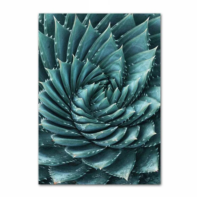 Cactus-Pineapple-Succulent-Plants-Leaves-5D-Diamond-Embroidery-mosaic-full-drill-diy-diamond-painting-home-decor111.jpg_640x640