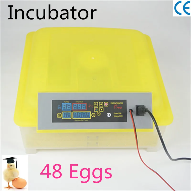 

quail automatic egg incubator China 48 eggs hatcher Cheap machine hatching eggs
