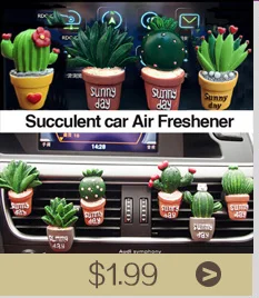 car air freshenem in the car perfume 3
