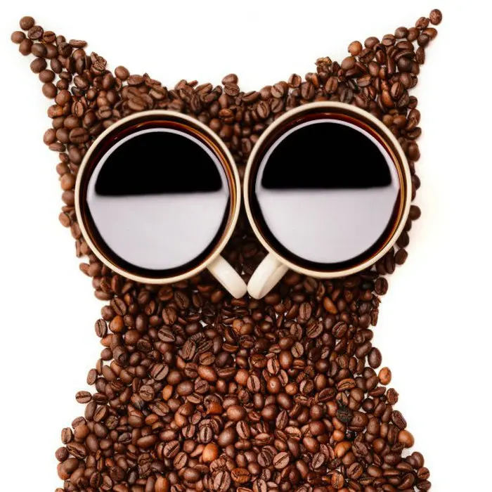 A-01-01 (35)
