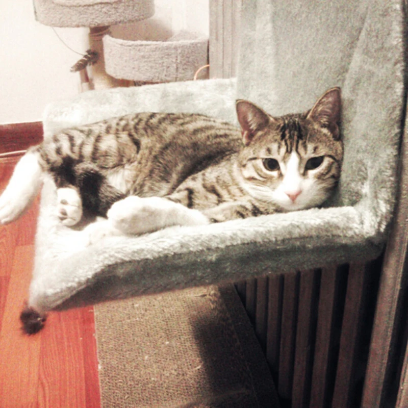 

New Large Soft Cat Nest Bed Mat Cat Hammock Putted on Everywhere Pet Small Kennel Dog Bed Cat Puppy Mat