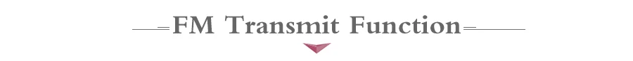 FM Transmit Function