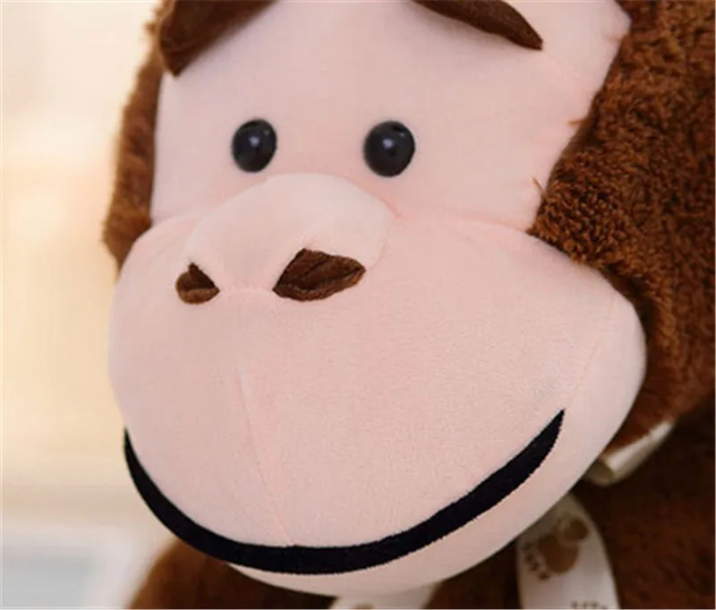 monkey11
