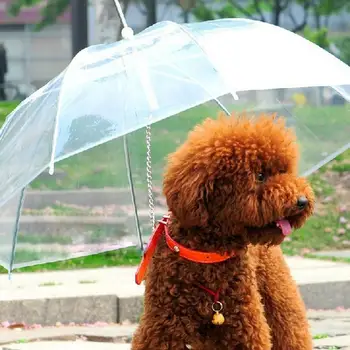 

Transparent PE Pet Umbrella Keeps Pet Dry Comfortable in Rain Snowing Sleet Convenient Umbrella Rain Gear with Dog Leads 4