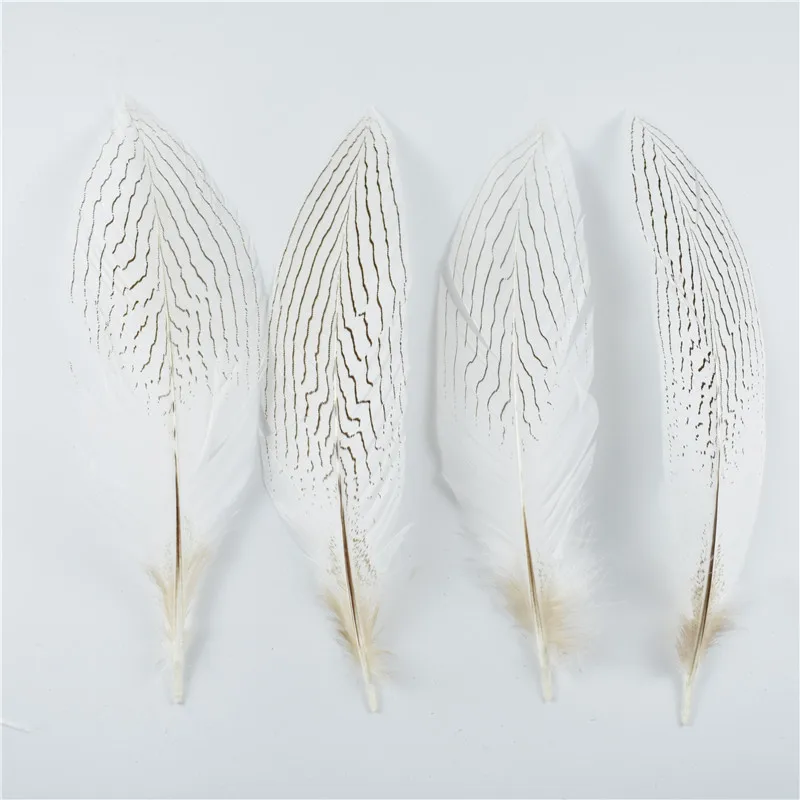20-25CM