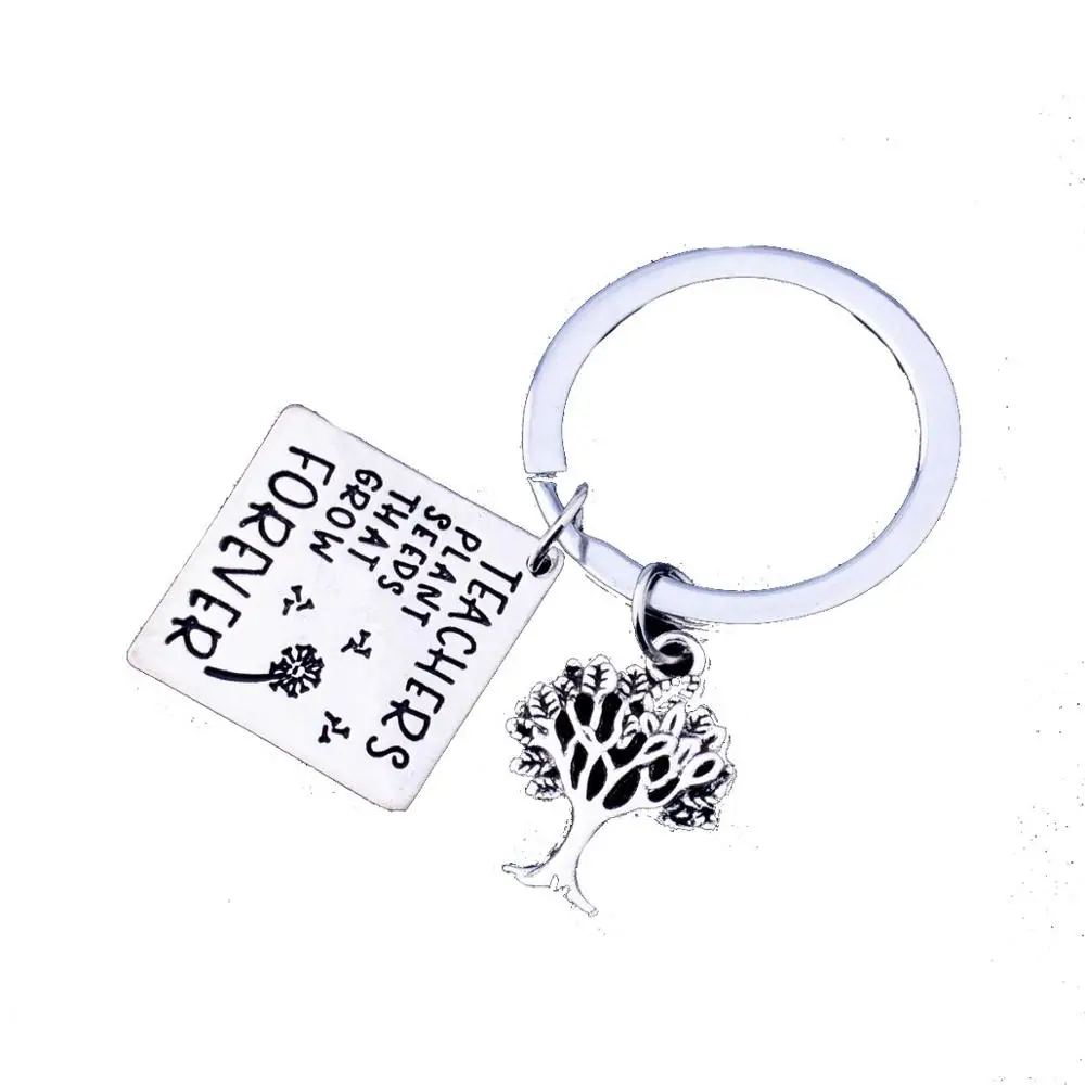 

12PC Wholesale Teachers Plant Seeds That Grow Forever Keyring Women Men Friends Family Teacher's Day Gifts Jewelry Thank You New