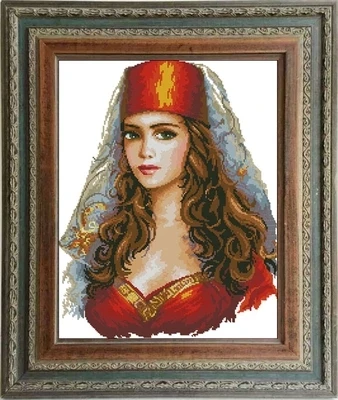 cs816 CI90-04 173X216X41