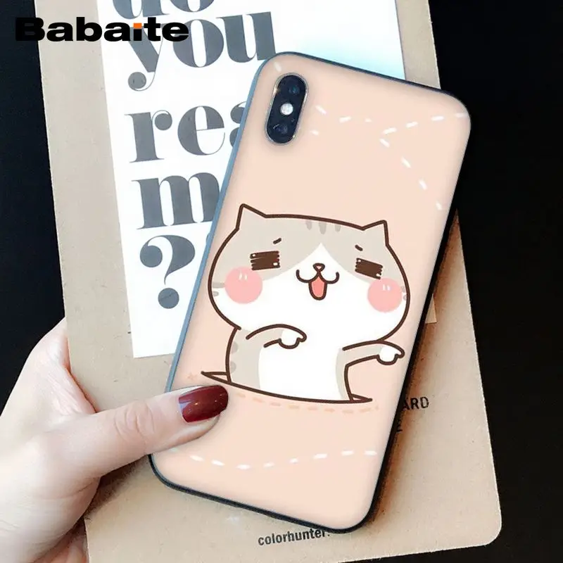 Kawaii Molang  Anime dog Cartoon cat