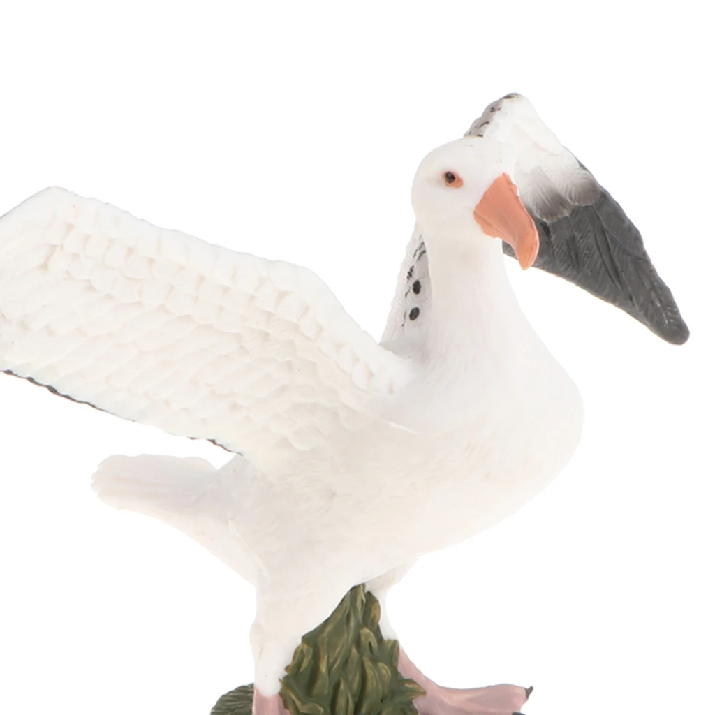 Wild/Farm Animal Models Toy - Simulation Seagull Bird Model Animals Action Figure Kids Educational Learning Nature Playset Toys