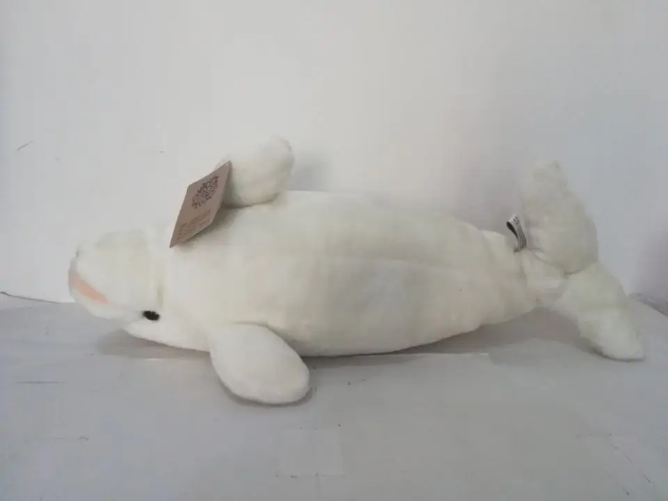 84