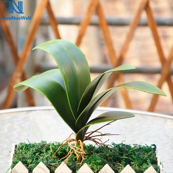 

5 Branch Artificial Orchid Leaves With Roots Faux Green Plant Real Touch Plastic Floral Display Bouquets Home Decor Grass Leaf