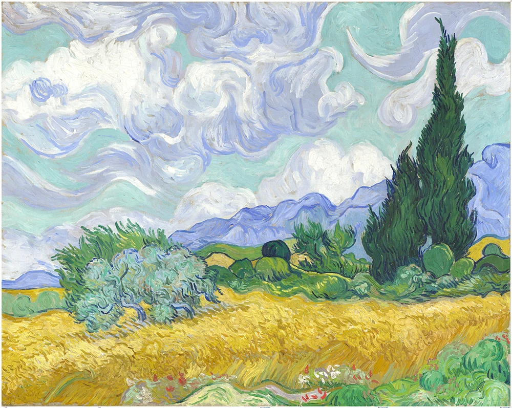  50x60cm