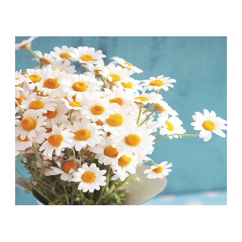 Diy Diamond Painting white flowers 3D Rhinestone Cross Stitch Kits Diamond Embroidery Chrysanthemum Needlework Set Home Decor 