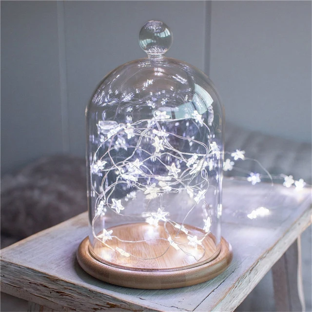 quadurple star led copper wire string lights 20led 10 led jenson button frome christmas lights