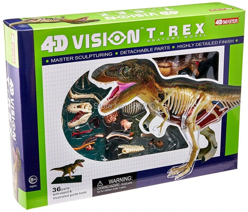 

4D Master vision T-REX dinosaur ANATOMY MODEL skeleton model Fully Detachable Organs Body Parts Educational