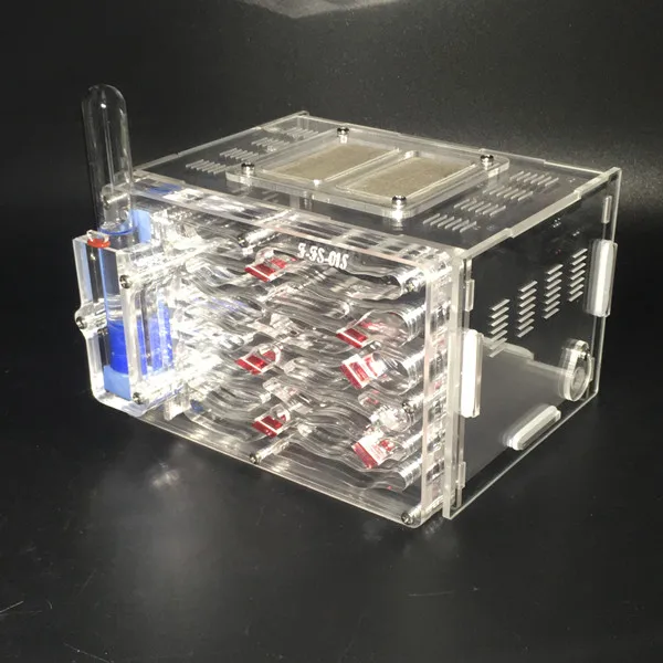 Ant-city-fs-01 (7)
