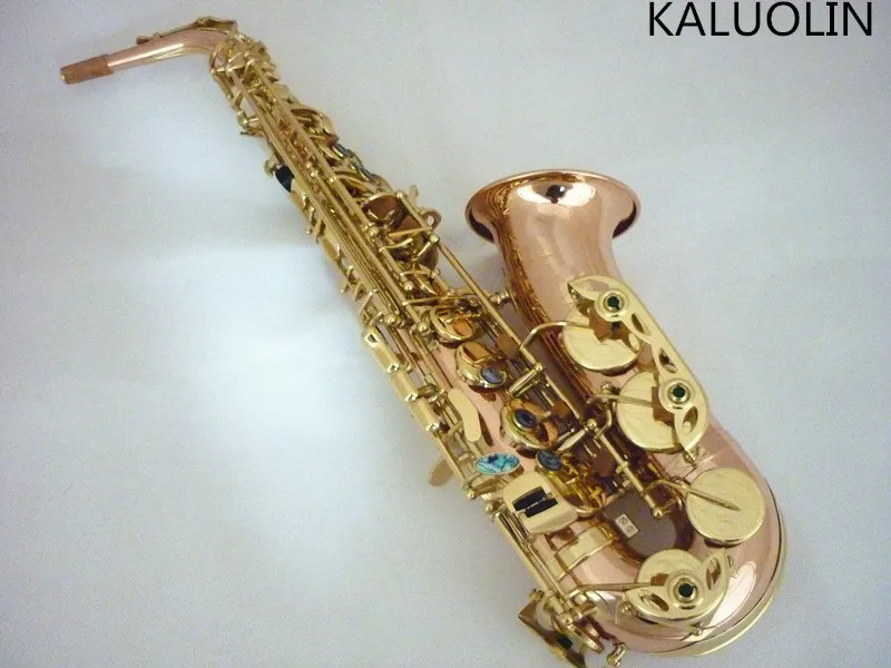

2018 Alto Saxophone Musical instruments High Quality KALUOLIN E flat Saxophone Phosphor bronze Alto Sax professional shipping
