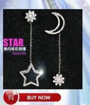 Earring_05