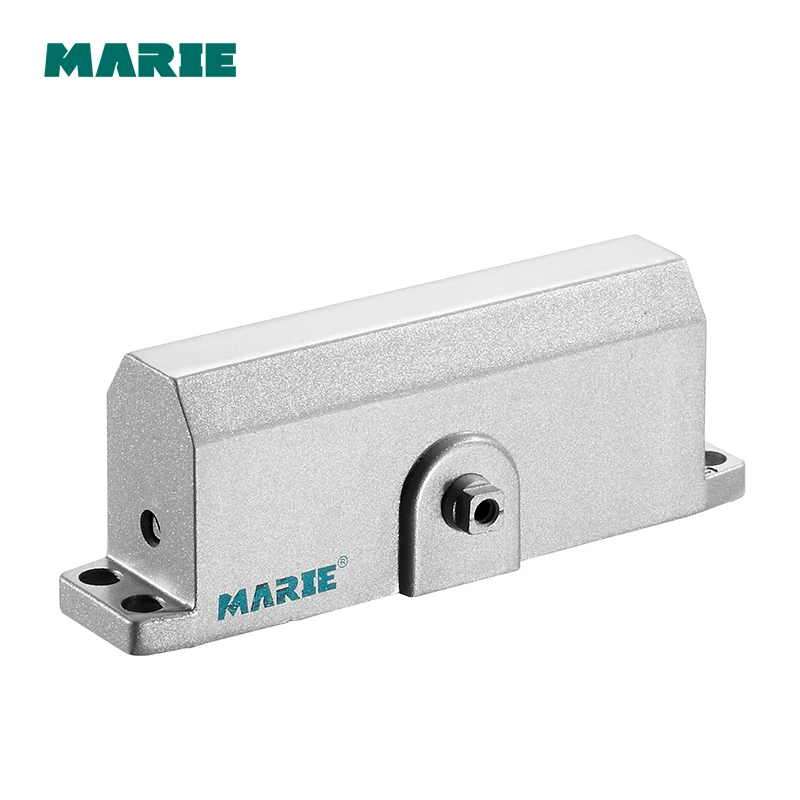High quality hidden door closer, invisible door closer, hydraulic buffer hidden door closer, position bearing, 120KG