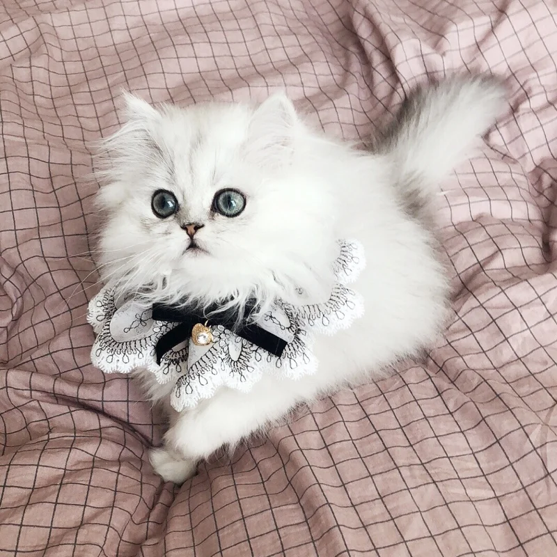 O1CN01AJgHWw1KZZ2oHbCOm_!!0-rate