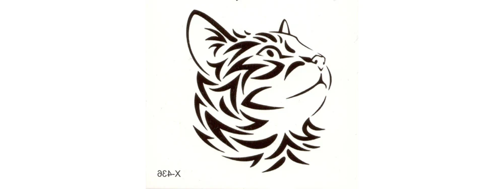 X436-DY_04