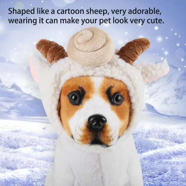 cosplay pet hat dog