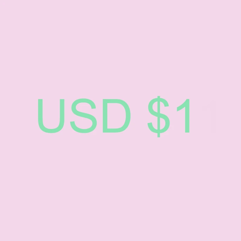 

1usd Shipping adjustment 1usd ONLY for shipping adjustment link