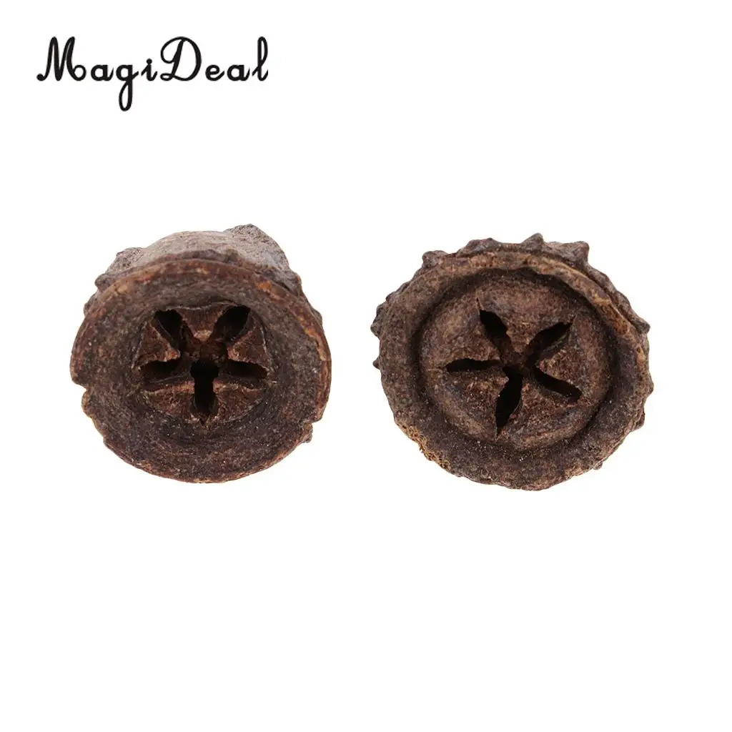 50pcs Rustic Natural Dried Flower Fruit Ornaments for Vase Filler Bowl Displays Wedding Party Christmas Home Table Decoration
