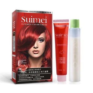 Professional Permanent Hair Dye Color Cream Styling Tools Green Red Hair Wax Dye Coloring Cream DIY With Creme Developer 80mlx2