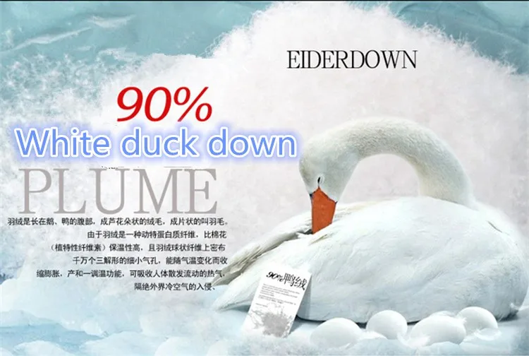 T2CO4cXnCOT0JXXXXX-81219492