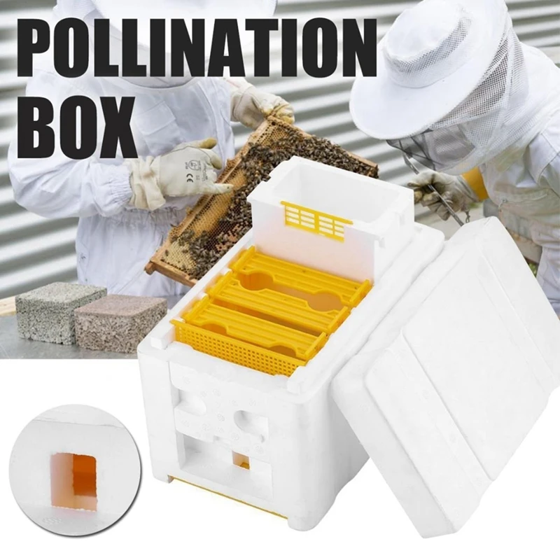 Улейная коробка для сбора урожая пчелиный улей Пчеловодство королевская коробка Pollination Box Урожай пчелиный улей твердый кедровый инструмент пчеловода