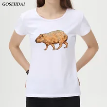 Для женщин забавные капибара белка с принтом кролика футболка для девочек Новинка топы дамы животных Дизайн Футболка короткий рукав футболки A32