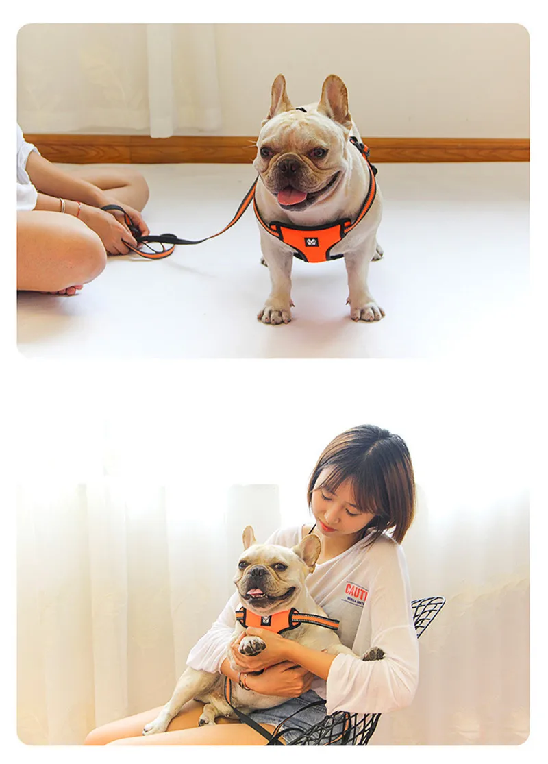Dog Harness and Leash Set  (14)