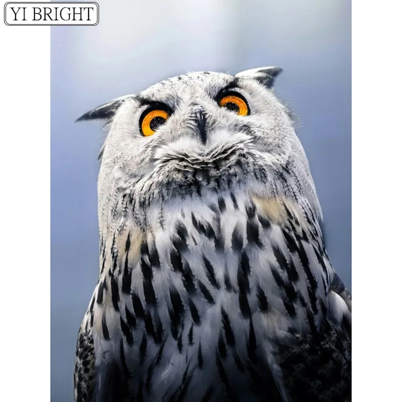 

5D DIY Full Square Diamond Painting Cross Stitch An owl 3D Diamond Embroidery Rhinestone Mosaic Home Decoration