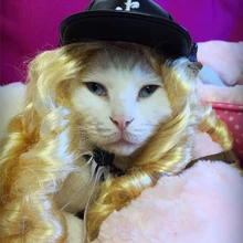 [MPK Домашние животные] парик для кота питомца золотые кудри парик кошка шляпа
