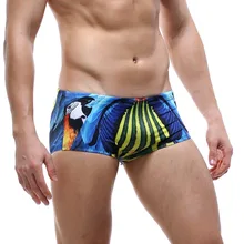 DICHSKI, мужской сексуальный купальник, мужские плавки, шорты, мужские трусы, пляжные шорты, спортивные костюмы, шорты для серфинга, мужские плавки