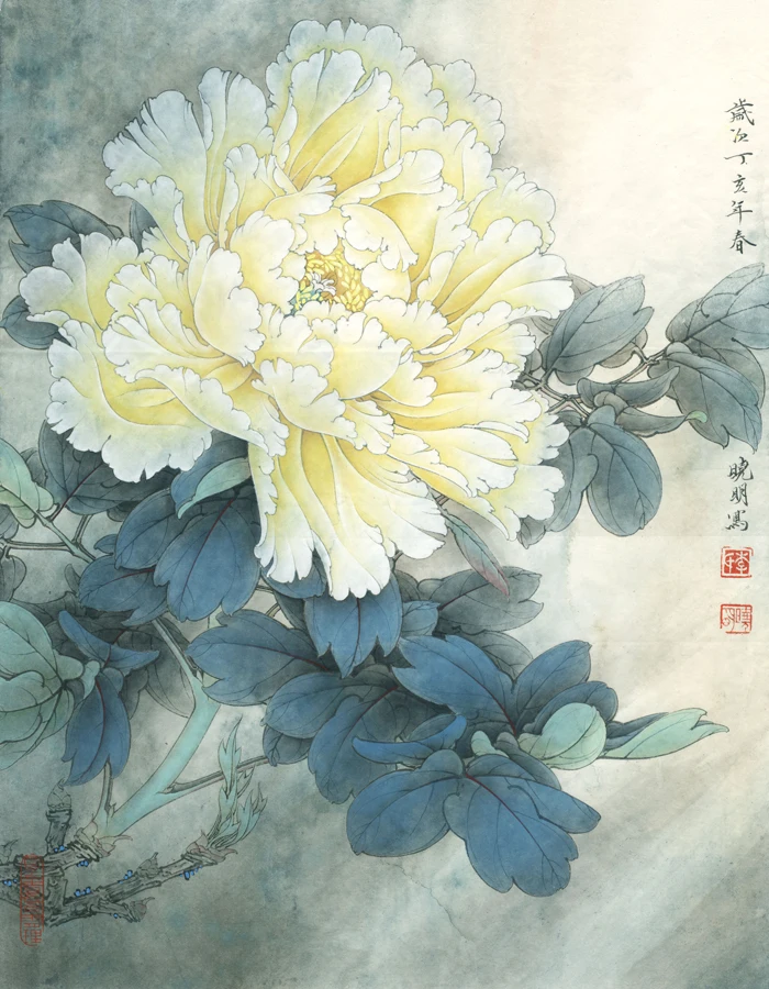 Chinese peony flower scenery oil painting canvas printings printed on ...