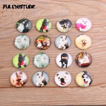 

6pcs Mix Animal Cute Pet Dog Pattern Round Glass Cabochon 20mm 25mm Dome Flat Back DIY Jewelry Finding