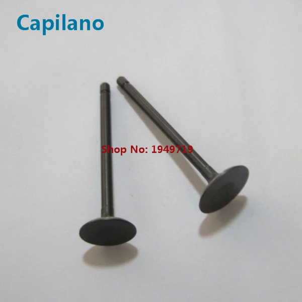 AN125 engine valve (3)