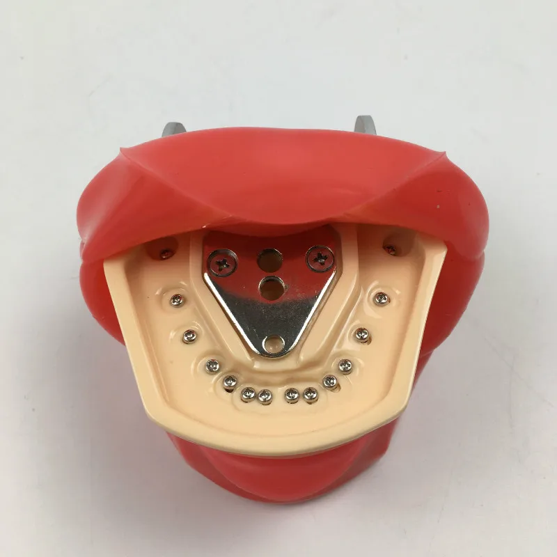 Оральный моделирование практика Системы стоматологический фантомная головка