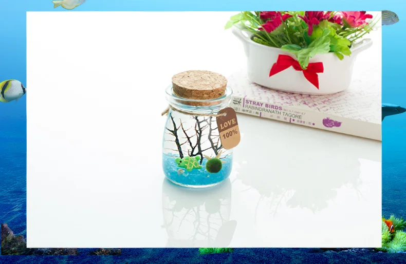 3662955504_393786582