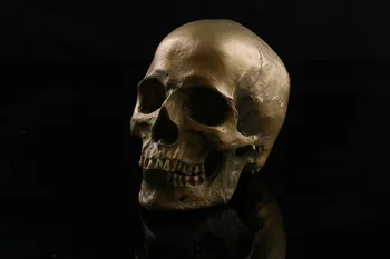 

15x17x9cm Medical simulation model skull resin skull Halloween skull home decoration antique copper ornaments personality