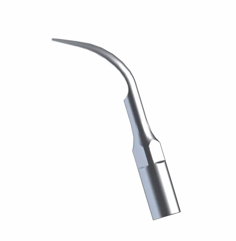 g1 para Ems Lote Nova Dental Scaler Scaling Ponta & Woodpecker Quente 10 Pçs - 2 scaler scaling ponta g1 para ems & woodpecker quente