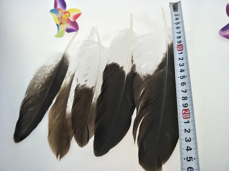 23cm-26cm_