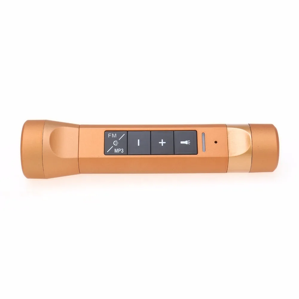 IMG_0399