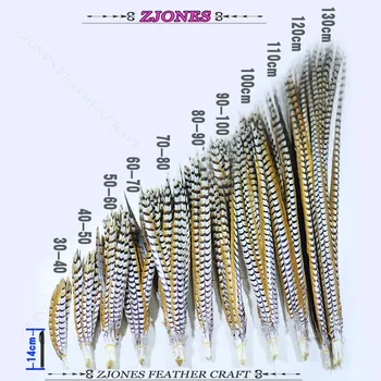 

Wholesale 10pcs 30-130cm Natural Reeve Pheasant Tail Feather Carnival Party /Stage Performance/Shamba Decoration Feather/Plume