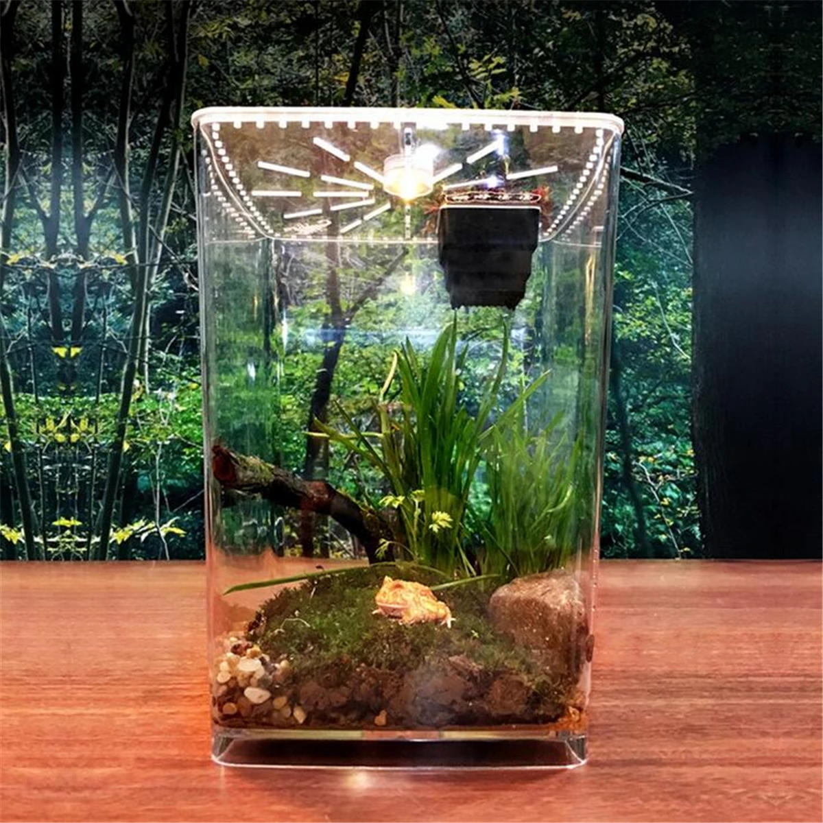 

Acrylic Plant Pet Reptile Terrarium Feeding Tank Insect Snake Spiders Chameleon Breeding Boxes Cage Case House Transparent