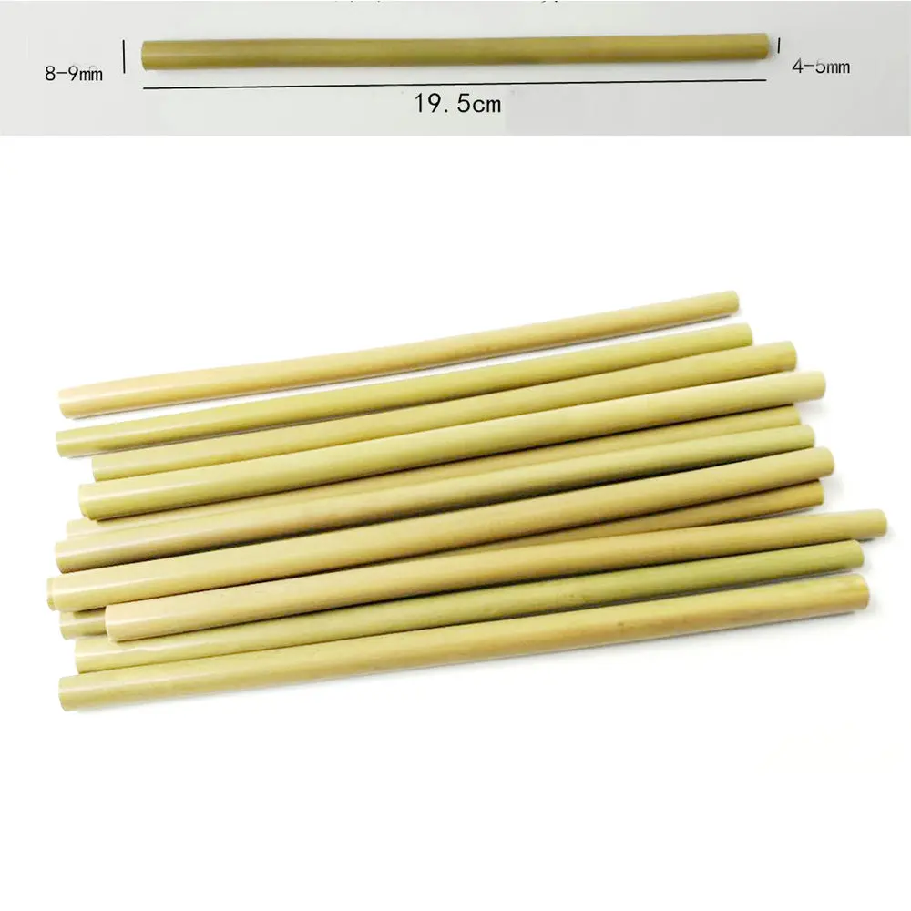 10pcs-set-Natural-Bamboo-Drinking-Straws-Reusable-Eco-Friendly-Party-Kitchen-Clean-Brush-for-Drop-Shipping (1)