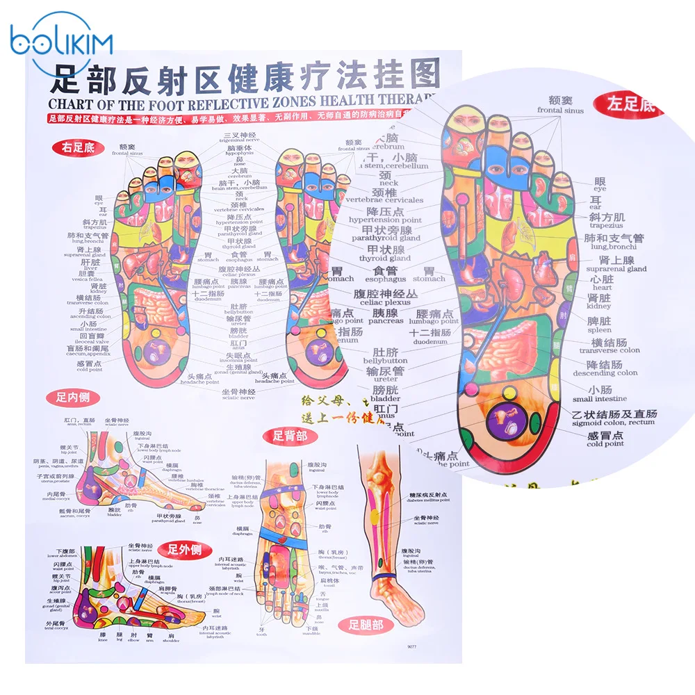 BOLIKIM 6Pcs English Hand&Foot&Ear&body Meridian points of human wall chart female /male acupuncture massage point map flipchart