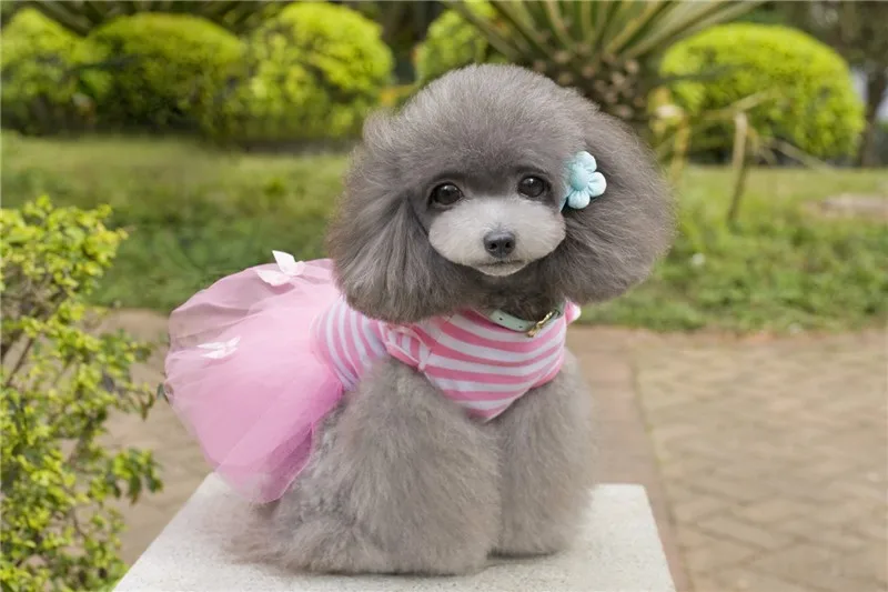 Y04_Sweaty_Small_Dog_Dress_Cute_Pet_Dog_Puppy_Stripe_Bow_Lace_Tutu_Dress_Princess_Pet_Skirt_for_Chihuahua_Yorkshire_ (3)
